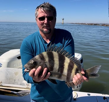 Sheepshead fishing in Galveston, Texas