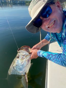 Tarpon fishing in Miami Beach, Florida