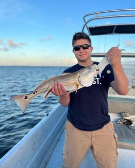 Redfish Fishing in South Padre Island, Texas