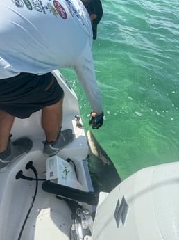 Fishing in Key West, Florida