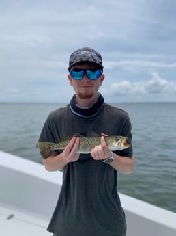 Speckled Trout Fishing in Tampa, Florida