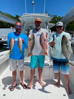 Mutton Snapper fishing in Islamorada, Florida