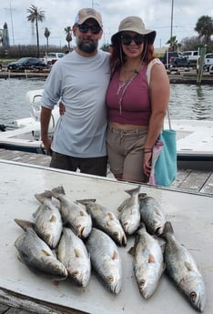 Speckled Trout / Spotted Seatrout fishing in Galveston, Texas