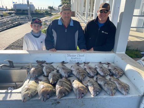 Sheepshead fishing in Galveston, Texas