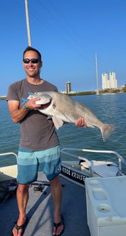 Black Drum fishing in South Padre Island, Texas