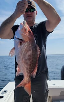 Red Snapper Fishing in Panama City, Florida