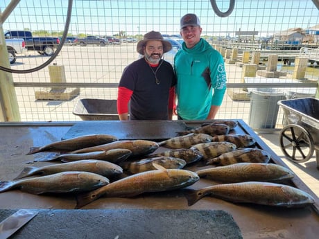 Redfish, Sheepshead fishing in Matagorda, Texas