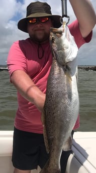 Speckled Trout / Spotted Seatrout fishing in Galveston, Texas