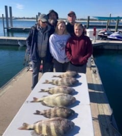 Sheepshead Fishing in Orange Beach, Alabama