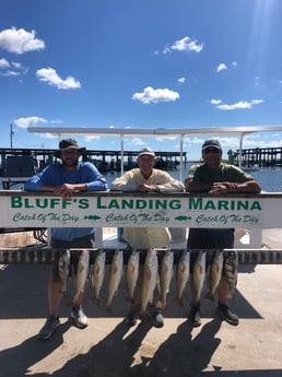 Black Drum, Redfish Fishing in Corpus Christi, Texas