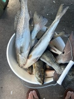 Fishing in Port Aransas, Texas