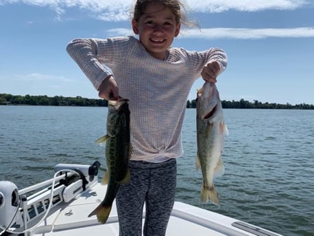 Largemouth Bass fishing in Clearwater, Florida