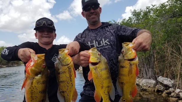 Peacock Bass fishing in Fort Lauderdale, Florida