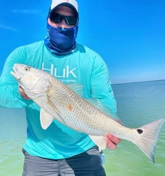 Redfish fishing in Tavernier, Florida