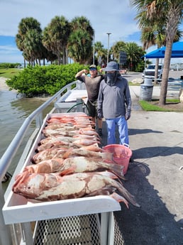 Red Grouper, Red Snapper Fishing in Clearwater, Florida