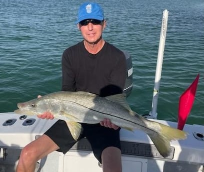 Snook Fishing in Tampa, Florida