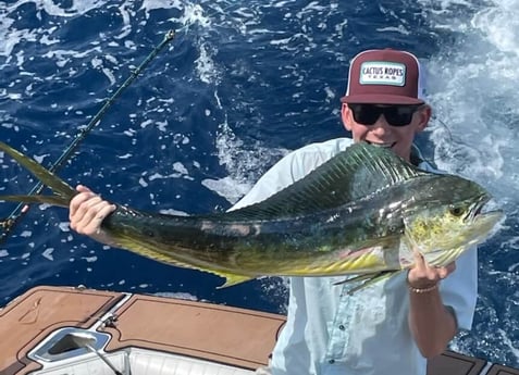 Mahi Mahi / Dorado fishing in South Padre Island, Texas