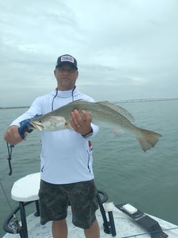 Speckled Trout Fishing in South Padre Island, Texas