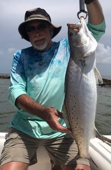 Speckled Trout / Spotted Seatrout fishing in Galveston, Texas