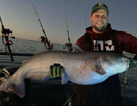 Blue Catfish fishing in Dallas, Texas