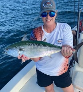 False Albacore Fishing in Beaufort, North Carolina