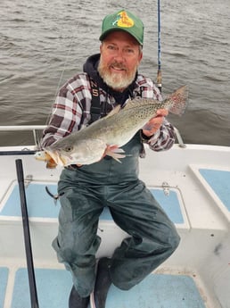 Speckled Trout / Spotted Seatrout Fishing in Trails End Road, Wilmington, N, North Carolina