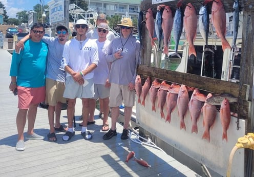 False Albacore, Red Snapper Fishing in Destin, Florida