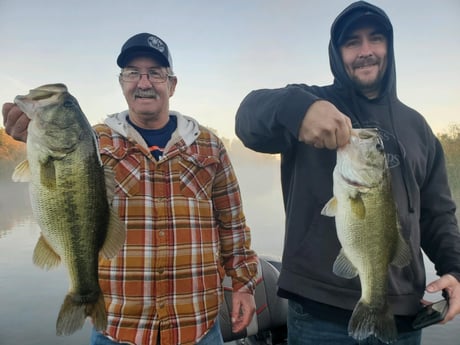 Largemouth Bass fishing in Austin, Texas