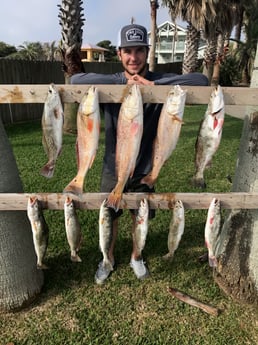 Redfish, Speckled Trout Fishing in Corpus Christi, Texas