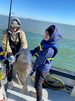 Black Drum fishing in Galveston, Texas