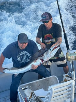 Blackfin Tuna fishing in 