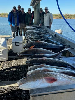 Black Drum, Redfish, Sheepshead, Speckled Trout Fishing in Sulphur, Louisiana