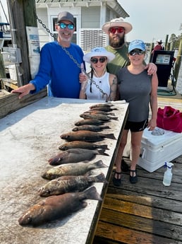 Mangrove Snapper Fishing in Niceville, Florida