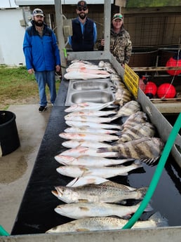 Sheepshead, Speckled Trout / Spotted Seatrout fishing in Port O&#039;Connor, Texas