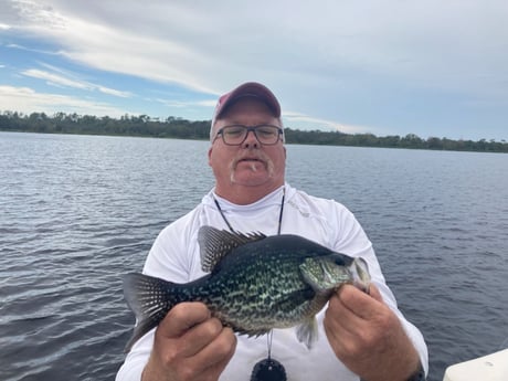 Crappie Fishing in Sarasota, Florida