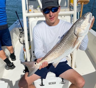 Gag Grouper fishing in Port Orange, Florida