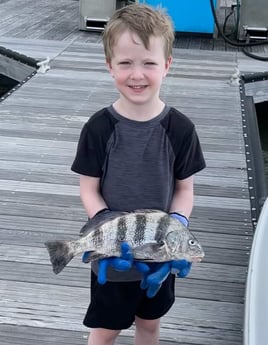 Black Drum fishing in Galveston, Texas