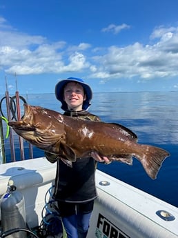 Black Grouper Fishing in Islamorada, Florida