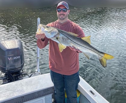 Snook Fishing in Tampa, Florida