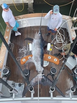 Swordfish fishing in Marathon, Florida