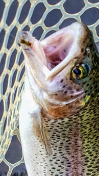 Fishing in Broken Bow, Oklahoma