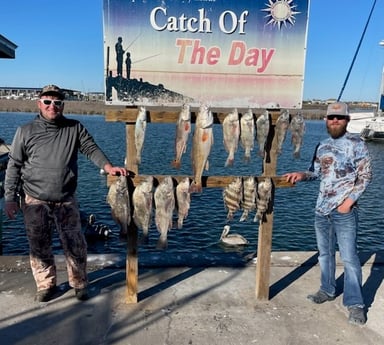 Black Drum, Redfish, Sheepshead, Speckled Trout Fishing in Rockport, Texas