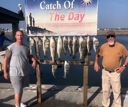 Black Drum, Redfish Fishing in Rockport, Texas