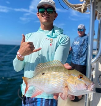 Mutton Snapper Fishing in Sarasota, Florida