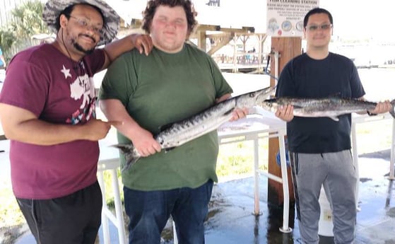 Barracuda, Cobia fishing in Jacksonville, Florida