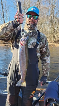 Steelhead Fishing in Verona Beach, New York