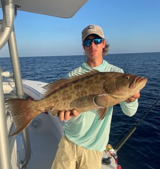 Scamp Grouper Fishing in Cape Coral, Florida