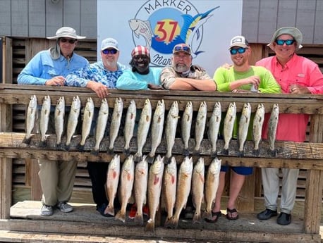 Redfish, Speckled Trout / Spotted Seatrout fishing in Corpus Christi, Texas