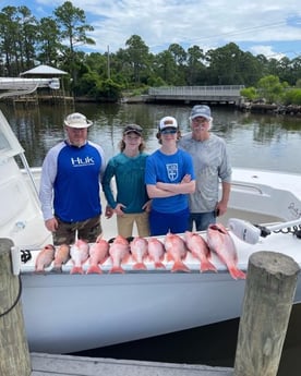 Mangrove Snapper, Red Snapper fishing in Santa Rosa Beach, Florida