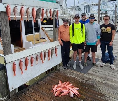 Triggerfish, Vermillion Snapper Fishing in Destin, Florida